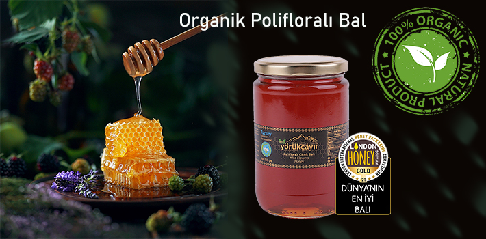 Organik Polifloralı Bal